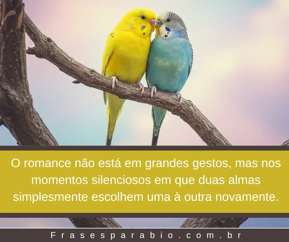 120+ Frases de Amor para Status, Namorada, Marido e Muito Mais 5 frases de amor 1