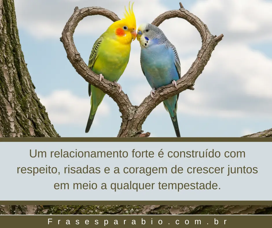 120+ Frases de Amor para Status, Namorada, Marido e Muito Mais 2 frases de amor