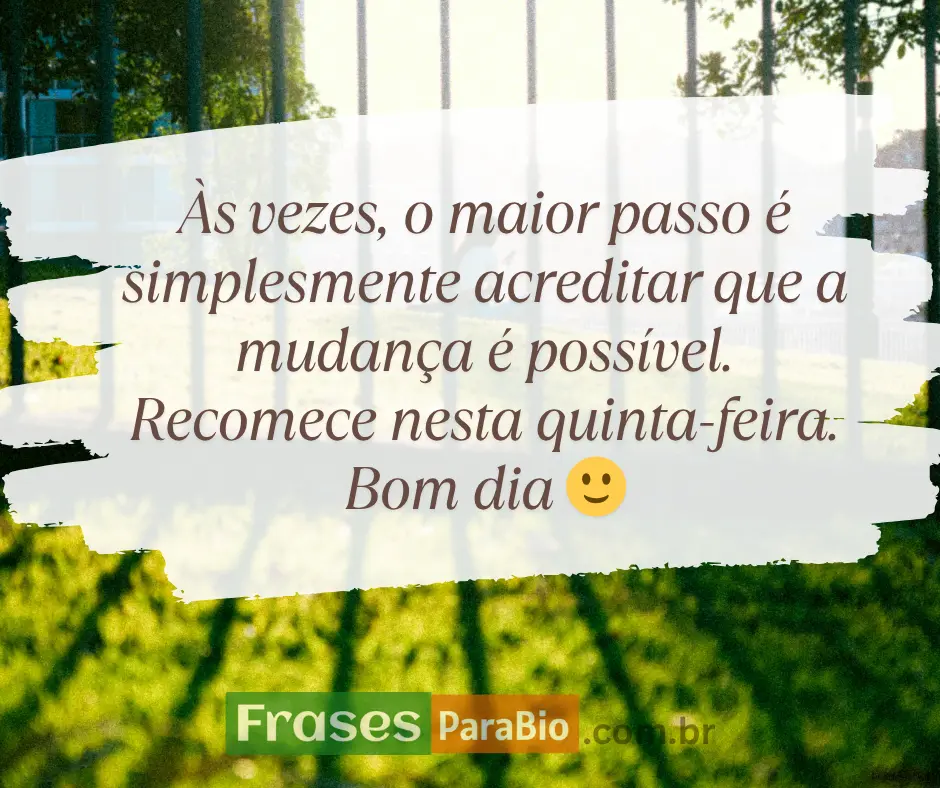 Bom dia quinta feira com carinho