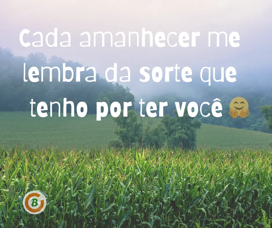 abençoado mensagem de bom dia