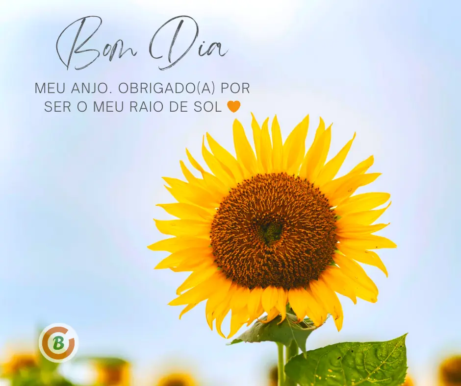 mensagem de bom dia com carinho