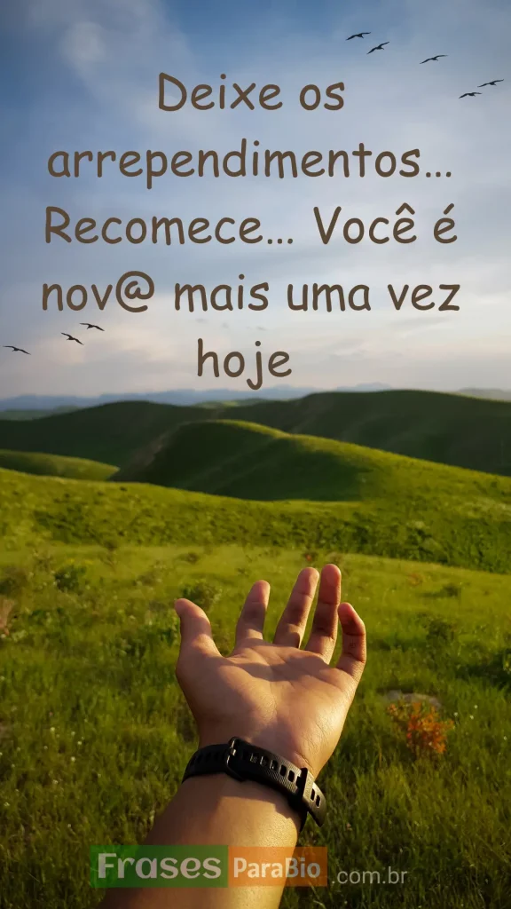 mensagem de bom dia para whatsapp imagens lindas