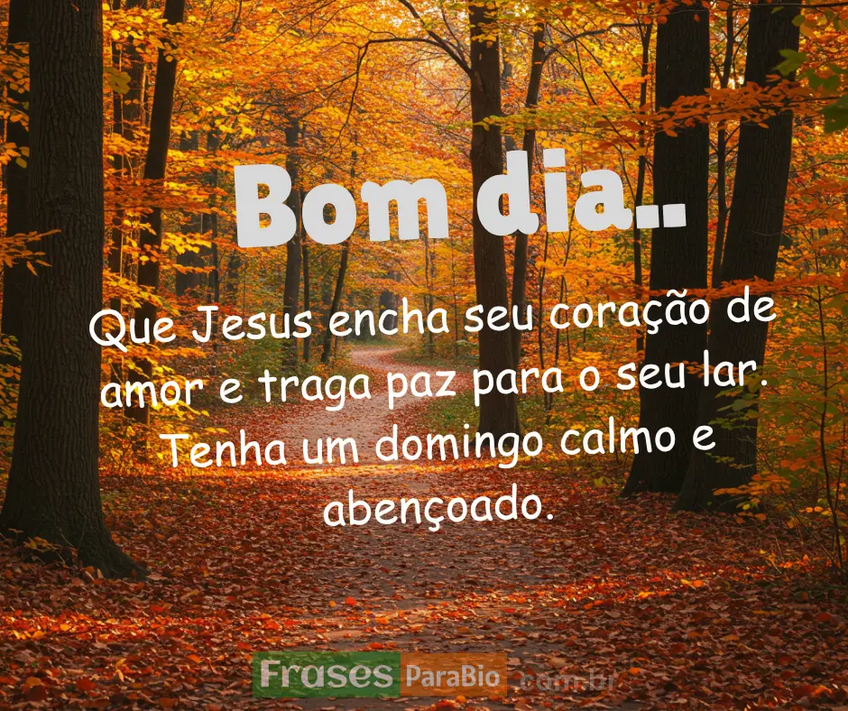 Mensagem de bom dia domingo