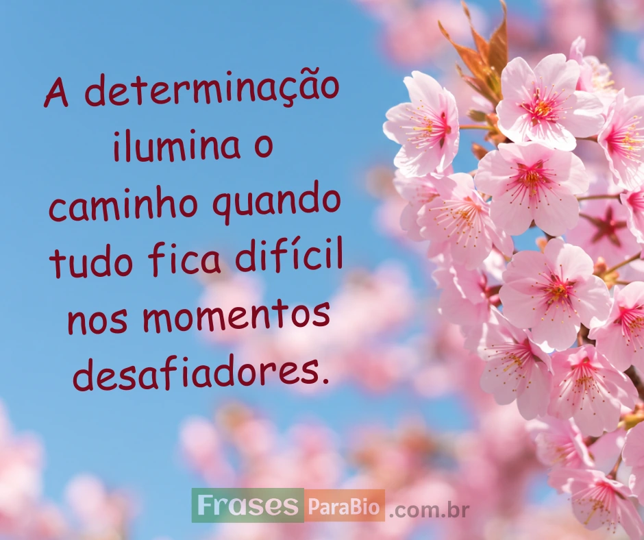 frases motivacionais para a vida