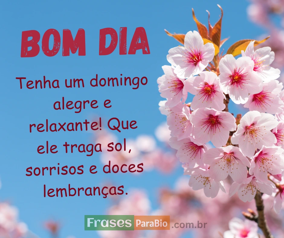 lindas mensagem de bom dia domingo