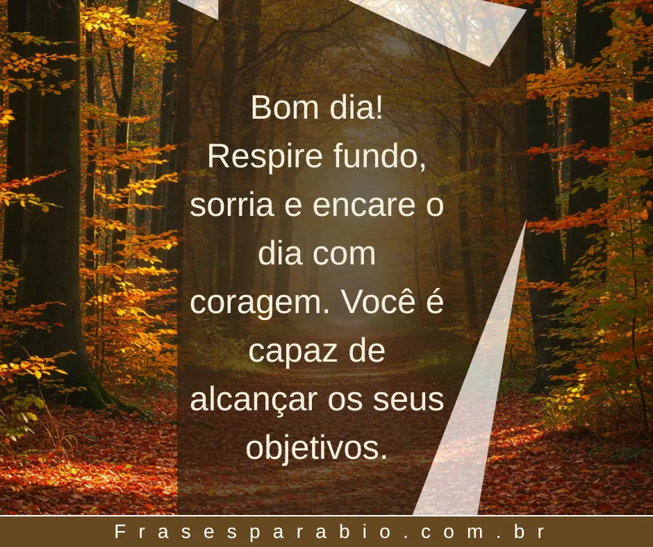 100+ Frases de Bom Dia Motivacional para WhatsApp, Status e Trabalho 4 bom dia motivacional vendas