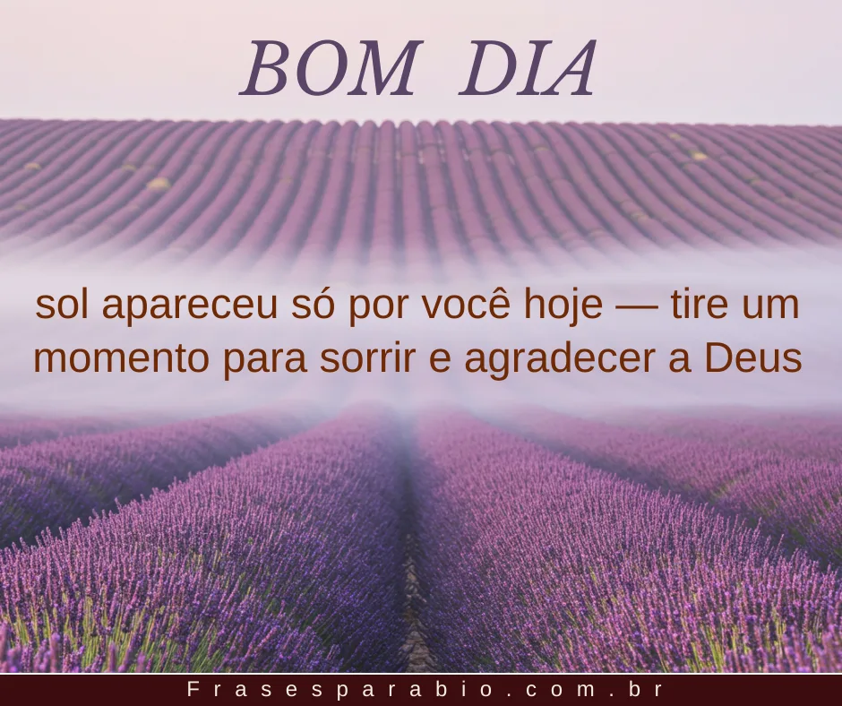 140+ Frases de Bom Dia para Começar o Dia com Carinho e Inspiração 9 frase de bom dia 5