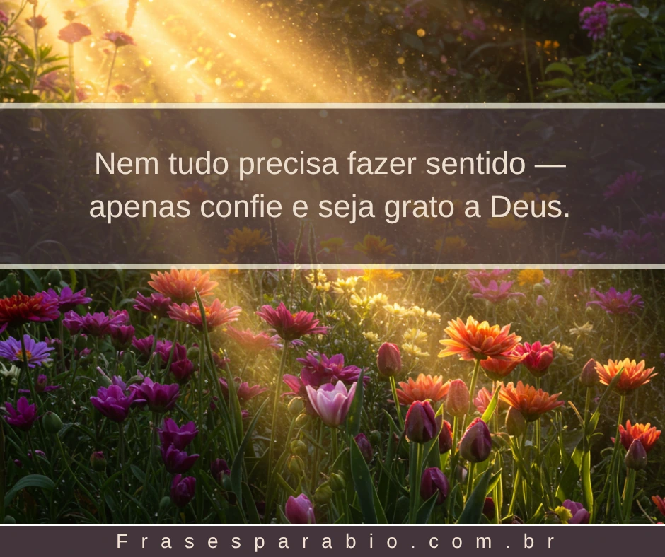110+ Frases de Gratidão a Deus, pela Vida e por Tudo que Temos 1 frases de gratidão a deus