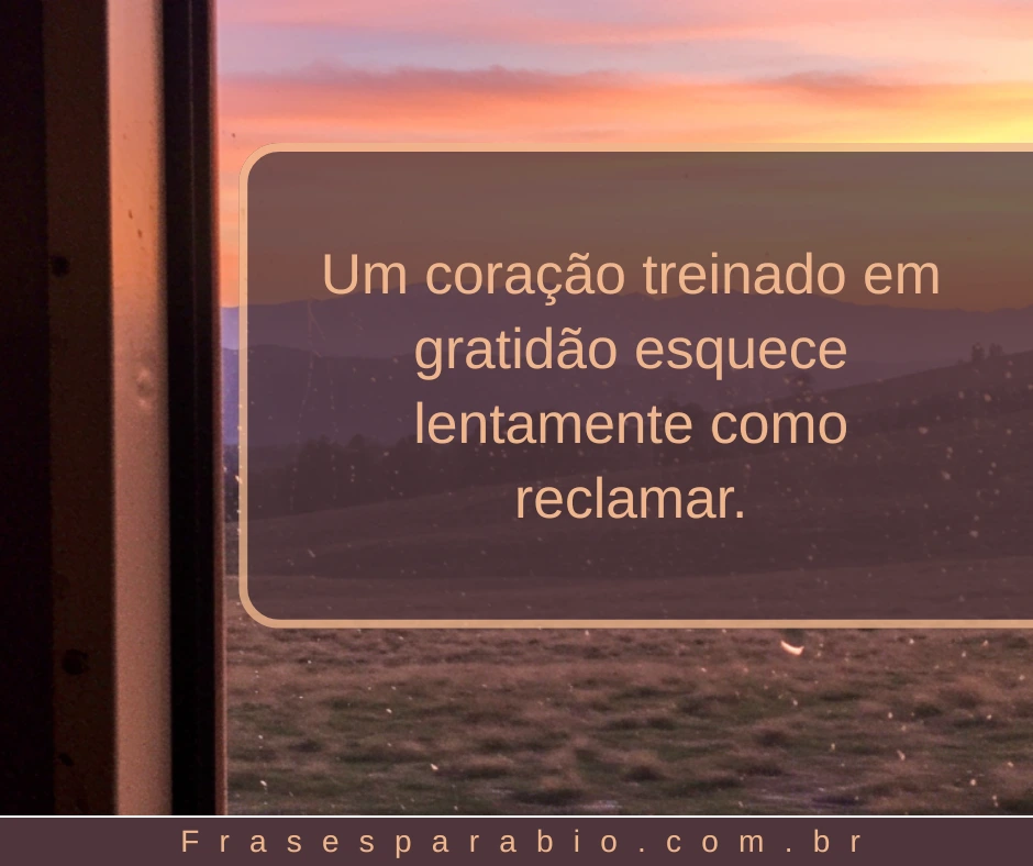 110+ Frases de Gratidão a Deus, pela Vida e por Tudo que Temos 11 frases de gratidão motivacional
