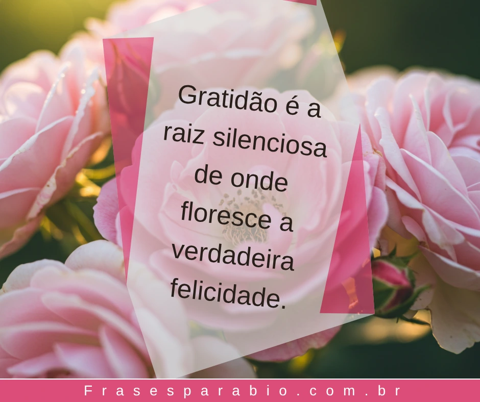 110+ Frases de Gratidão a Deus, pela Vida e por Tudo que Temos 15 frases de gratidao