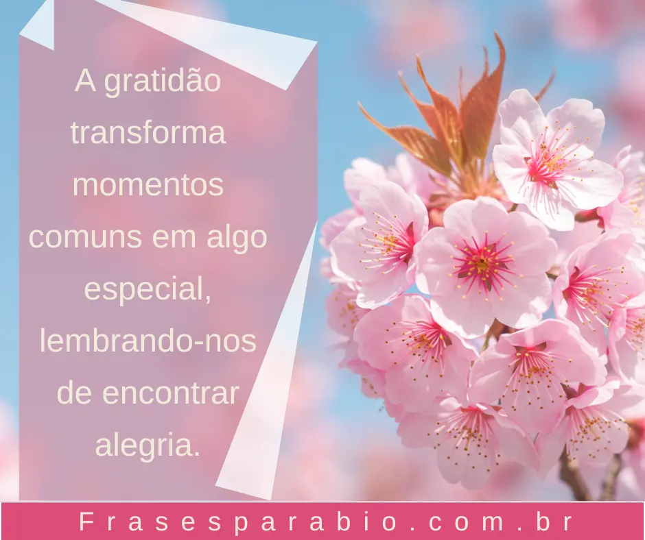 99+ Frases de Motivação e Gratidão para Inspirar Seu Dia com Fé e Energia 2 frases de motivação e gratidão