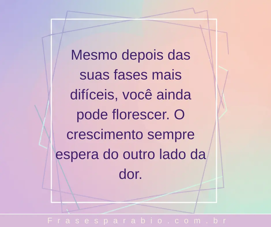 100+ Frases de Reflexão sobre a Vida para Status, Amor e Mudança 9 frases de reflexão sobre a vida 3