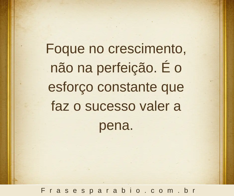140+ Frases de Sucesso Profissional e Pessoal para se Motivar Hoje 15 frases de sucesso profissional para amiga