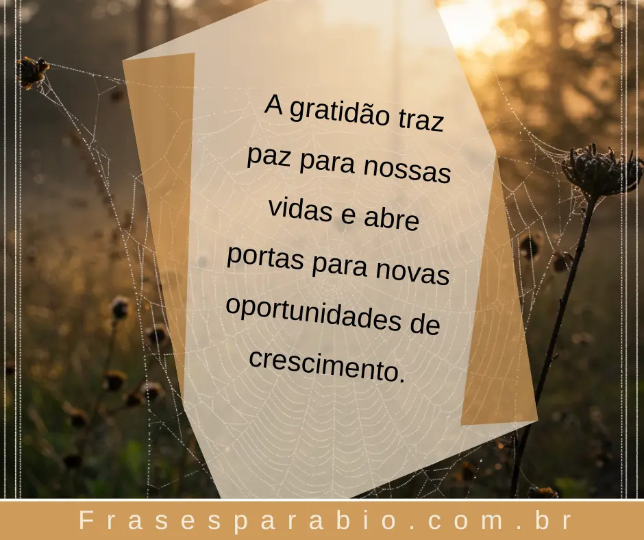 99+ Frases de Motivação e Gratidão para Inspirar Seu Dia com Fé e Energia 5 mensagem de otimismo e gratidão
