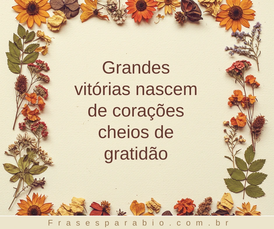 110+ Frases de Gratidão a Deus, pela Vida e por Tudo que Temos 14 mensagem frases de gratidão