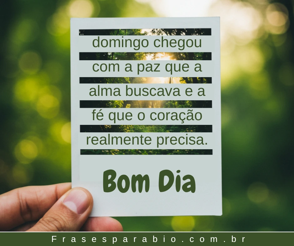 Bom Dia Abençoado: Mensagens e Frases Lindas para Começar o Dia com Fé 8 mensagens de bom dia abençoado