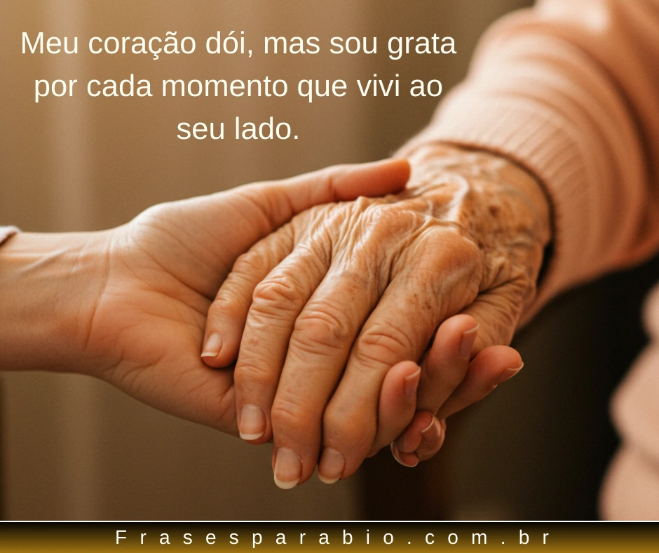 Frases de Luto para Avó: Palavras Tocantes para Dizer Descanse em Paz 1 Frases de Luto para Avó 14
