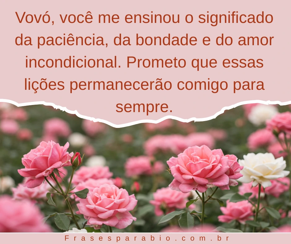 Frases de Luto para Avó: Palavras Tocantes para Dizer Descanse em Paz 23 Frases de Luto para Avó 15