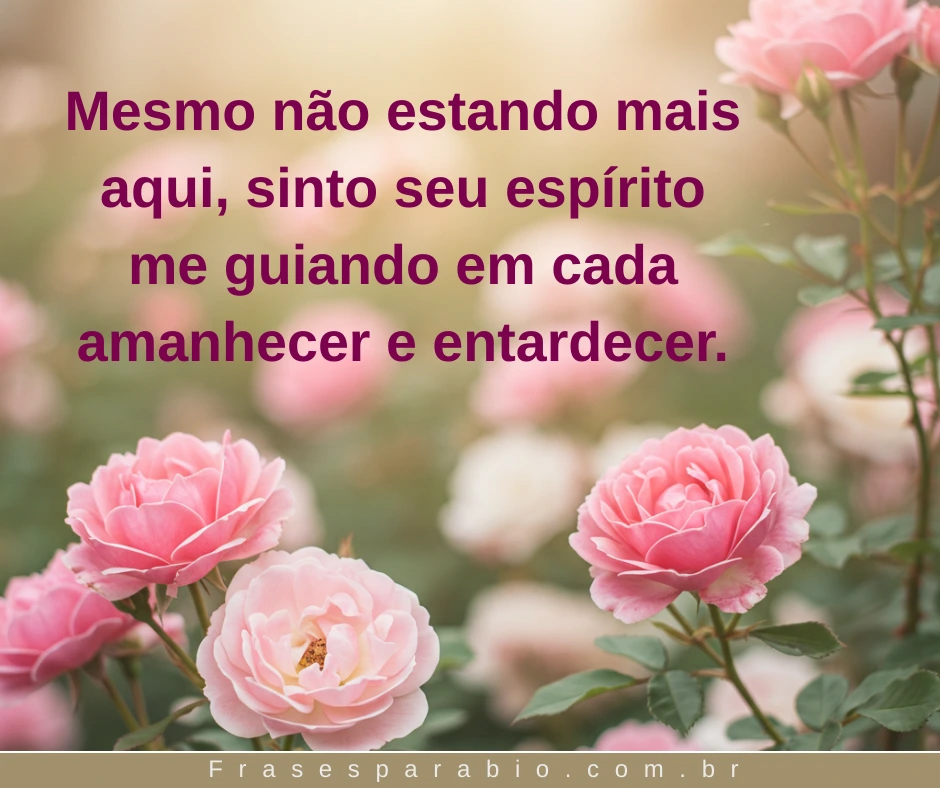 Frases de Luto para Avó: Palavras Tocantes para Dizer Descanse em Paz 8 Frases de Luto para Avó 7