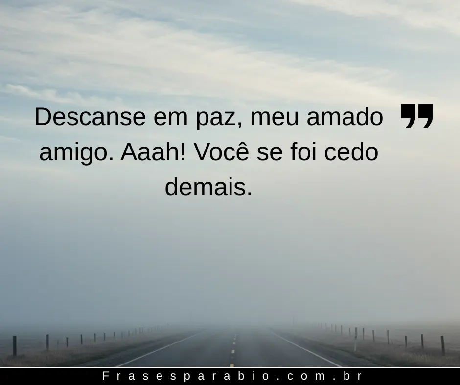 Palavras de conforto para dizer descanse em paz com amor, 100+ opções 18 descanse em paz (11)