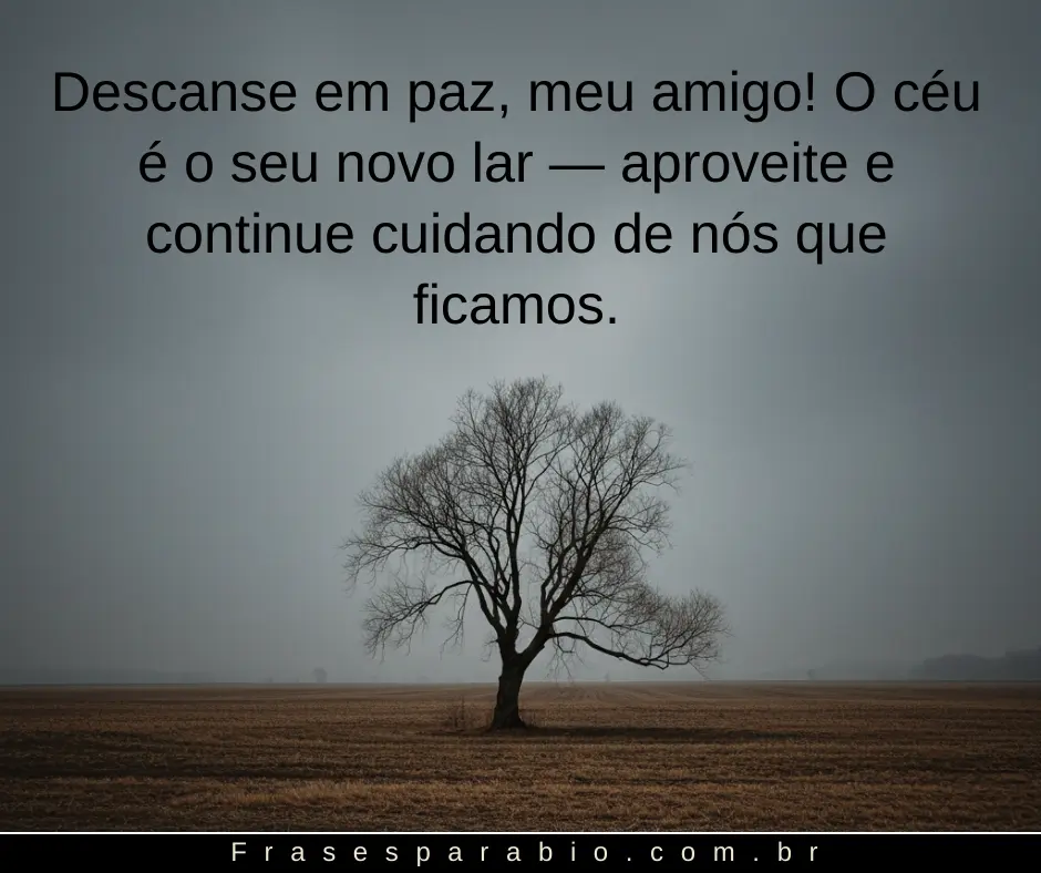 Palavras de conforto para dizer descanse em paz com amor, 100+ opções 19 descanse em paz (12)