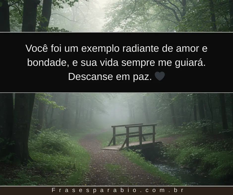 Palavras de conforto para dizer descanse em paz com amor, 100+ opções 2 descanse em paz (15)