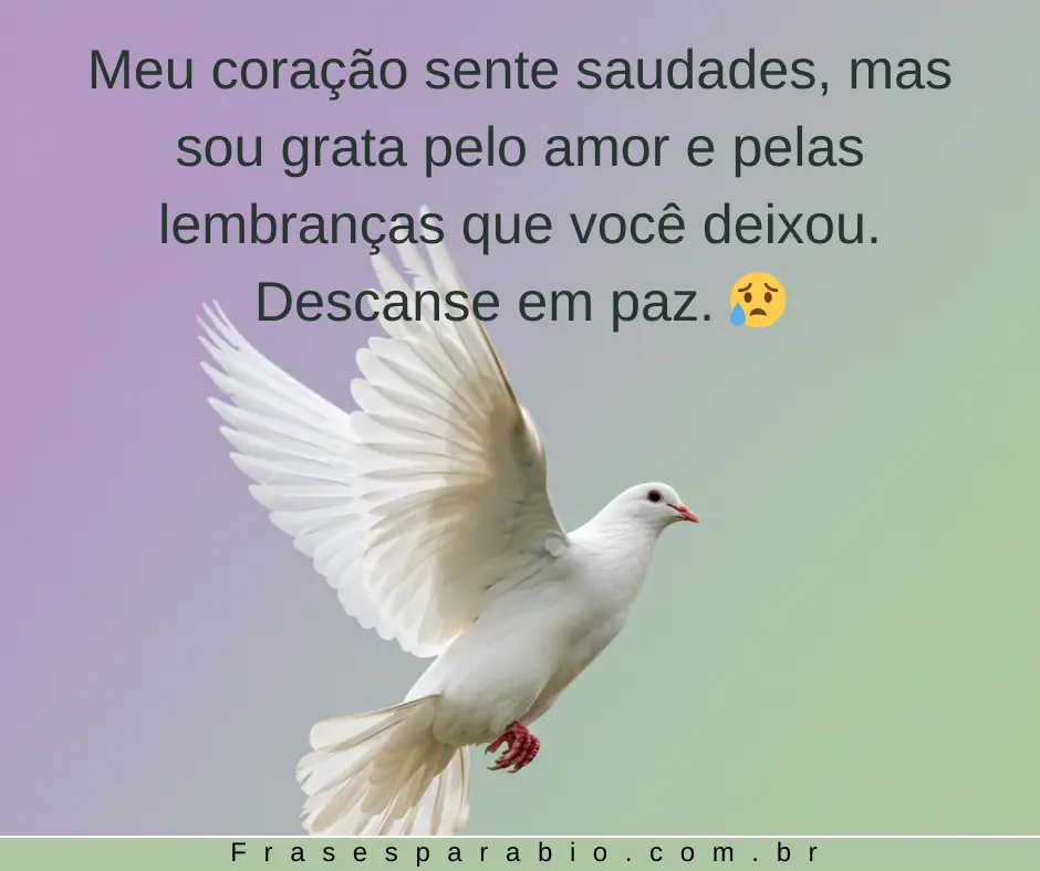 Palavras de conforto para dizer descanse em paz com amor, 100+ opções 17 descanse em paz (20)
