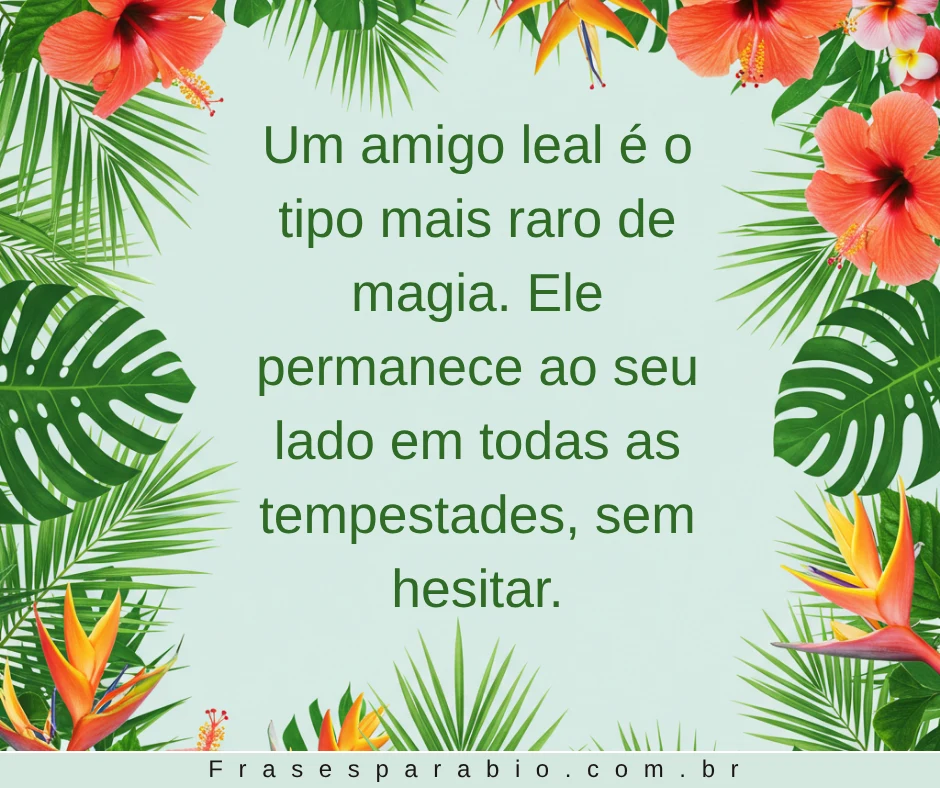 110+ Frases de Amizade Curtas, Verdadeiras e Cheias de Carinho 3 frases de amizade curtas e sinceras