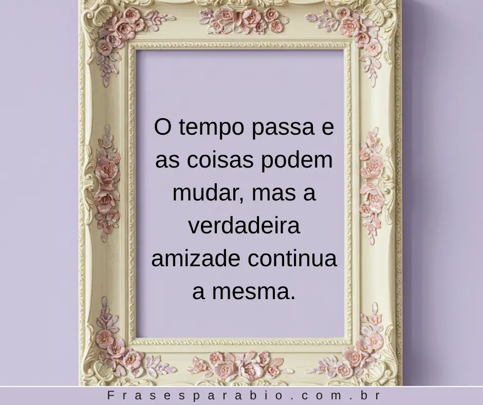 110+ Frases de Amizade Curtas, Verdadeiras e Cheias de Carinho 10 frases de amizade sábias