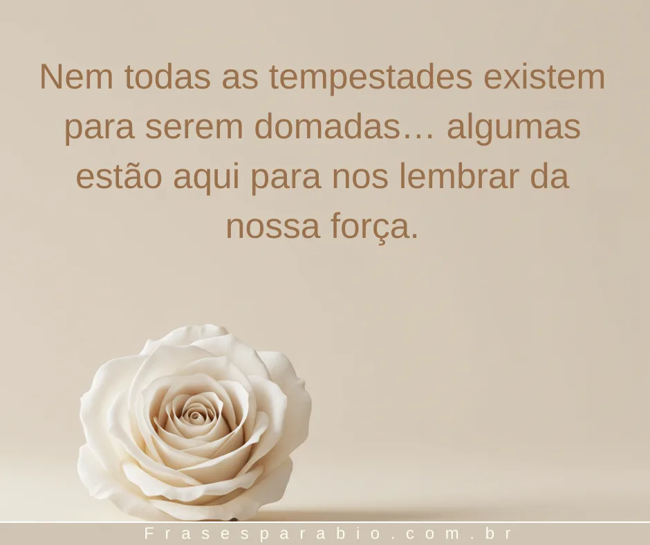 100+ Frases para Foto Sozinha Atraente para Impressionar Quem Vê 11 frases para foto sozinha atraente 13