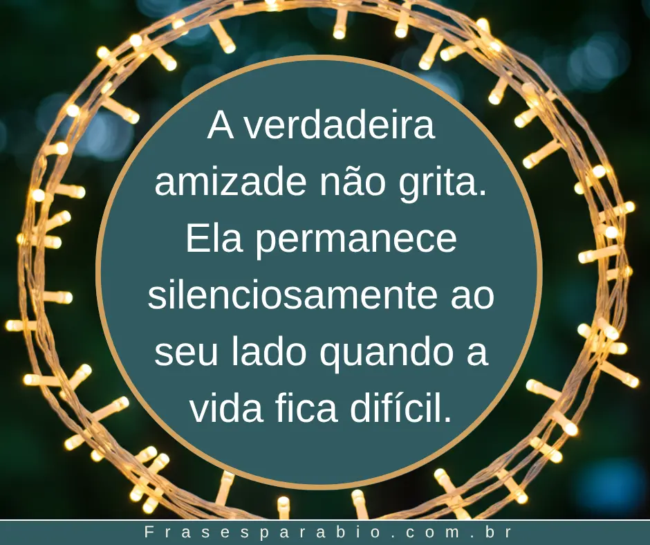 110+ Frases de Amizade Curtas, Verdadeiras e Cheias de Carinho 12 frases sobre amizade