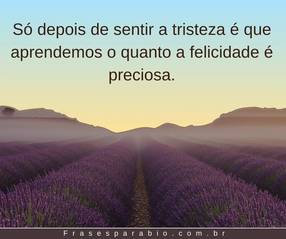 120+ Frases Tristes de Amor, Vida e Decepção para Status e Instagram 8 frases tristes 7